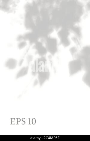 Transparent natural plant shadow. Light effect overlay. Mesh grid. Presentation your design card, poster, stories Photo realistic illustration Stock Vector