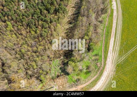 aerial top view of curved dirt road between forest and meadow. rural landscape, summer day. Stock Photo