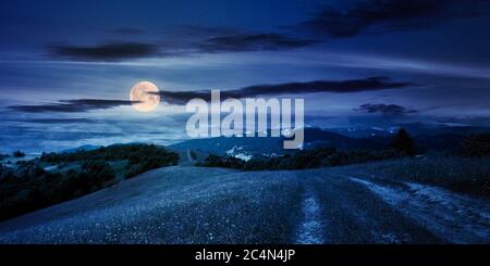 path through the mountain meadow at night. mysterious summer landscape of carpathian countryside in full moon light. fluffy clouds on the blue sky Stock Photo