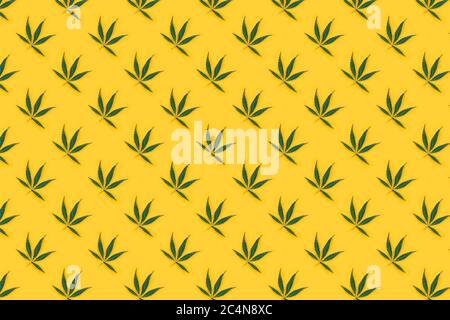 Cannabis leaves on a yellow background. Hemp leaf green pattern Stock Photo