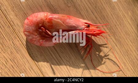 Big fresh pink king jumbo tiger cooked prawn shrimp tasty seafood top flat view on wooden background Stock Photo