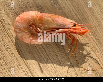 Big fresh pink king jumbo tiger cooked delicious prawn shrimp seafood top flat view on wooden background Stock Photo