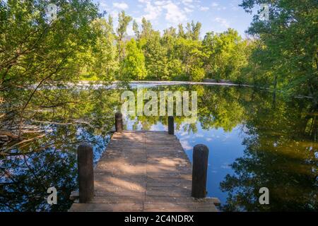 Pond. Finnish Forest, Rascafria, Madrid province, Spain. Stock Photo