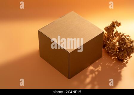 Female hands and hold a cardboard box. Copy space for text. Delivery concept. Stock Photo