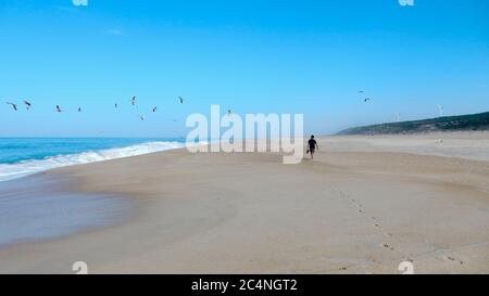 Single man solo traveller walking on rhe shore of the ocean beach with group of seagull in the blue sky Stock Photo