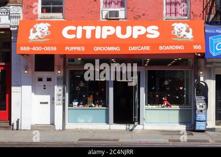 Citipups prices sales