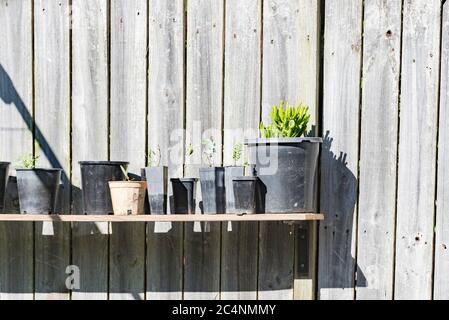 A simple potting and seedlings bench in the warm winter sun in a Sydney, Australian garden made from a used fence paling and two L brackets Stock Photo