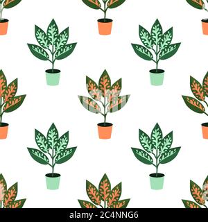 Seamless aglaonema house plant pattern Stock Vector