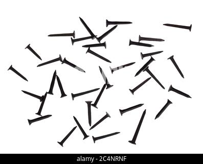 Small black tacks and nails for DIY. Isolated on white background. Stock Photo