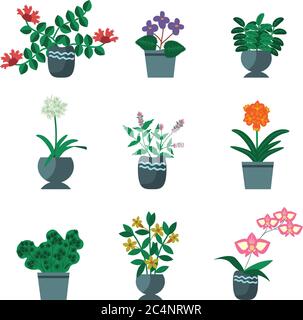 House plants vector simple collection Stock Vector