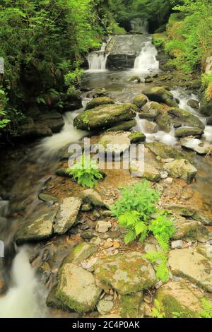 Waterfall on Hoar Oak River near Watersmeet House in Exmoor National Park, Devon Stock Photo