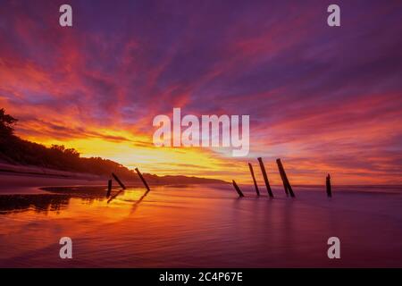 Beautiful sunrise of old jetty piles at St. Clair Beach in Dunedin, New Zealand. Stock Photo