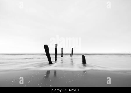 Beautiful sunrise of old jetty piles at St. Clair Beach in Dunedin, New Zealand. Stock Photo