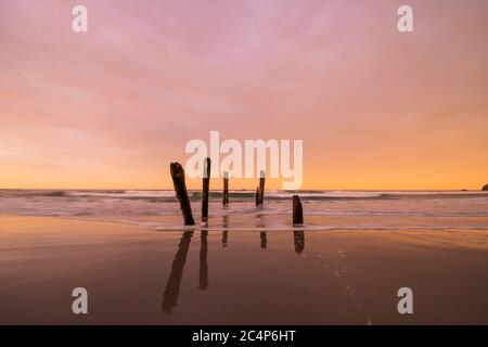 Beautiful sunrise of old jetty piles at St. Clair Beach in Dunedin, New Zealand. Stock Photo