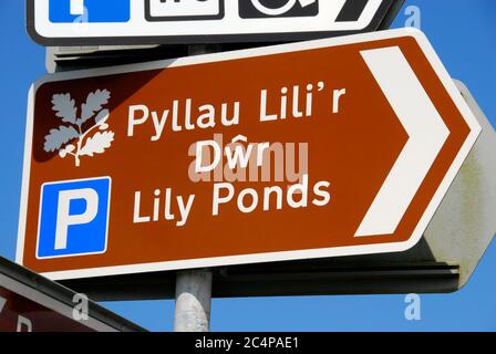National Trust sign pointing to Lily Ponds in two languages, English and Welsh, Bosherston, Pembrokeshire, Wales Stock Photo