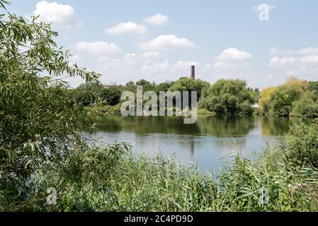 Tranquil view over water surrounded by greenery at Walthamstow Reservoirs now Walthamstow Wetlands an inner city wetland site and urban nature reserve Stock Photo