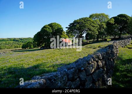 Emsworthy Nature Reserve Dartmoor National Park Stock Photo