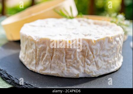 French cheeses collection, piece of matured camembert cow milk cheese with white mold from Normandy Stock Photo