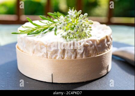 French cheeses collection, piece of matured camembert cow milk cheese with white mold from Normandy Stock Photo