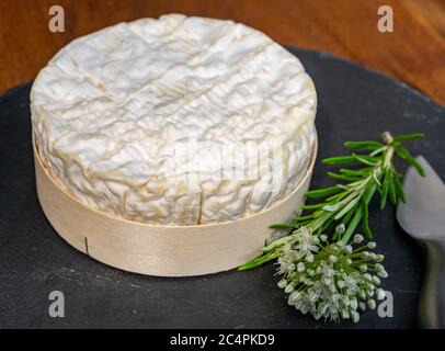 French cheeses collection, piece of matured camembert cow milk cheese with white mold from Normandy Stock Photo