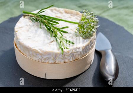 French cheeses collection, piece of matured camembert cow milk cheese with white mold from Normandy Stock Photo