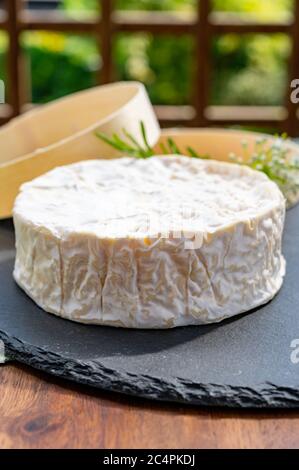 French cheeses collection, piece of matured camembert cow milk cheese with white mold from Normandy Stock Photo