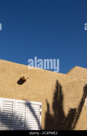Palm tree shadow on building Stock Photo