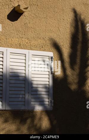 Palm tree shadow on building Stock Photo