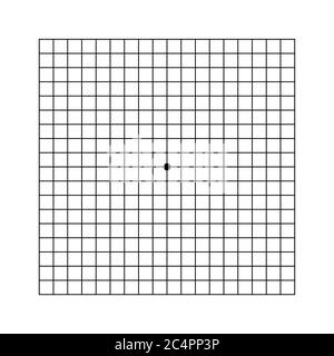 Amsler grid type with central squares divided Vector Image