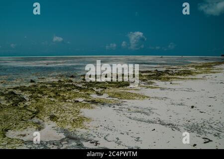 The coastline from the beach in Jambiani overlooking the Indian Ocean and a blue sky in Zanzibar, Tanzania Stock Photo