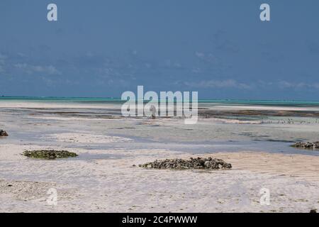 A person walking along the beach during low tide of Jambiani in Zanzibar, Tanzania Stock Photo