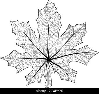 Coloring book page with decorative maple leaf on white background Stock Vector
