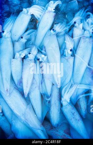 Fresh seafood on the counter at the fish market by the ocean Stock Photo