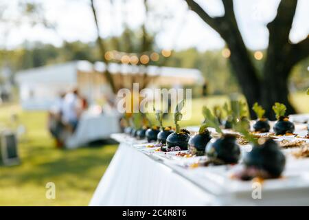 Modern appetizers on white plates served on festive table. Delicious elegant dishes on fresh air. Beautiful arrangement in dinner table. Stock Photo