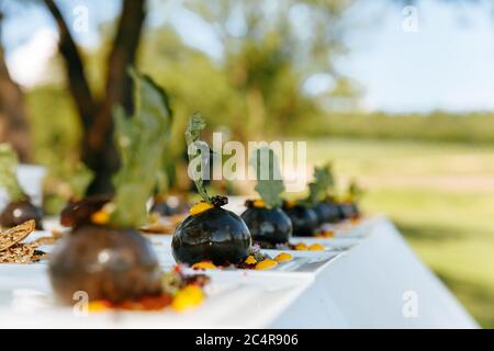 Exclusive tasty dishes in trendy servings on white plates over blur background of green nature. Delicious food prepared for guests by professional chi Stock Photo