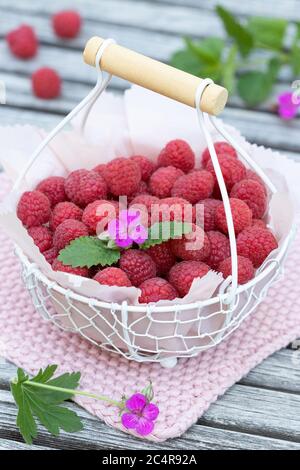 fresh raspberries in basket on the table Stock Photo