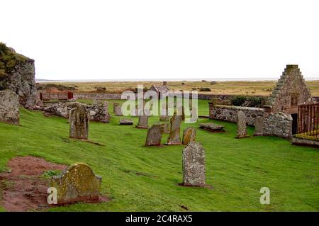 Nature Reserve, St Cyrus, Scotland Stock Photo