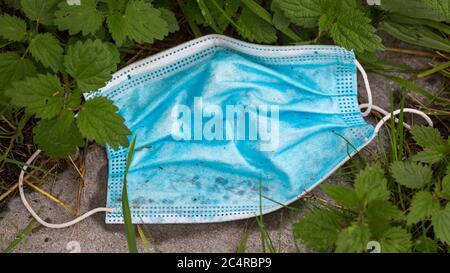 Used, blue surgical mask between green leaves, lying on the ground. Lost or thrown away. Stock Photo