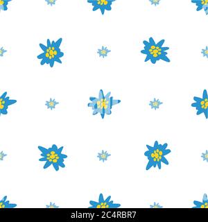 Seamless pattern with blue Edelweiss flowers on white background. Hand drawn Alpine mountain flora. Stock Vector