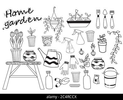 House garden. Set of indoor plants, flowerpots tools. Human hobbies at home and in self-isolation. Botanical set - bulbs, pruner, bucket, furniture Stock Vector