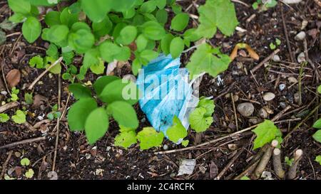 Dirty, blue colored face mask lying on the ground between plants. Lost or thrown away. Stock Photo