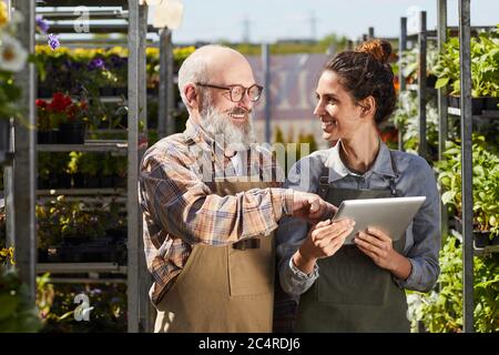 Waist up portrait of smiling senior farmer using digital tablet while instructing young female worker in plantation lit by sunlight, copy space Stock Photo