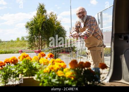 Portrait of smiling senior gardener leaning on cart while loading flowers in van for sale market, copy space Stock Photo