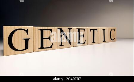 Genetic word written on wood cube with white background. Close up. Stock Photo