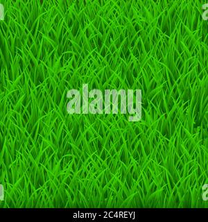 Background of  fresh green grass. Top view. Stock Vector