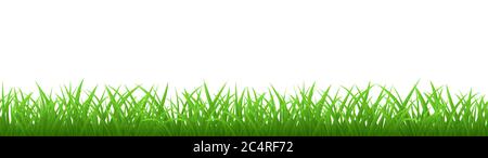 Seamless green grass isolated on white background Stock Vector