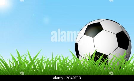 Soccer ball on the green grass against the blue sky and the sun Stock Vector