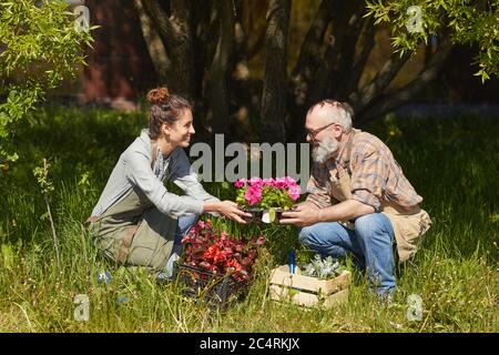 Side view portrait of father and daughter planting flowers under big tree in sunlit garden, copy space Stock Photo