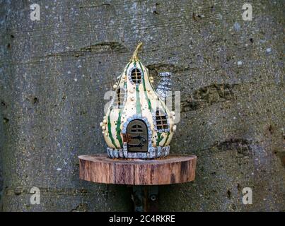 Imaginary quirky miniature cottage on tree in fairy trail, Archerfield Estate, East Lothian, Scotland, UK Stock Photo