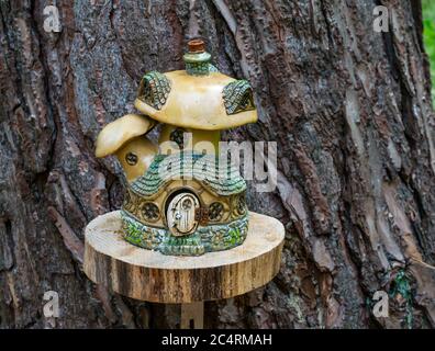 Imaginary quirky miniature cottage on tree in fairy trail, Archerfield Estate, East Lothian, Scotland, UK Stock Photo